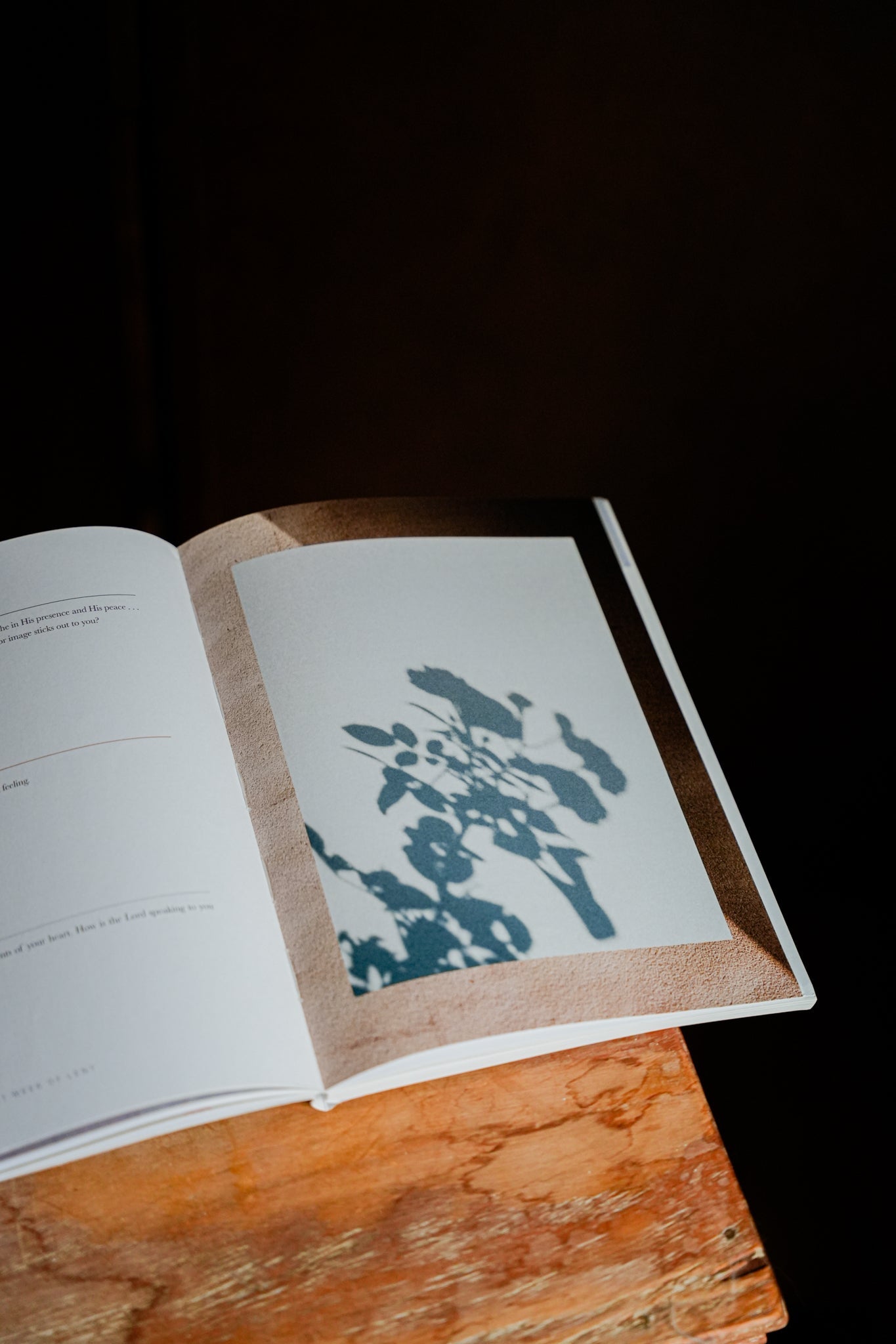 Lent Devotional For Women