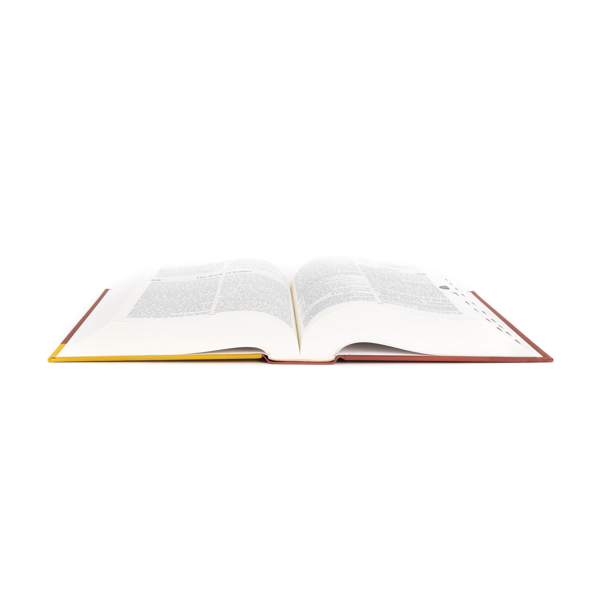 Catholic Study Bible-NAB (Revised)
