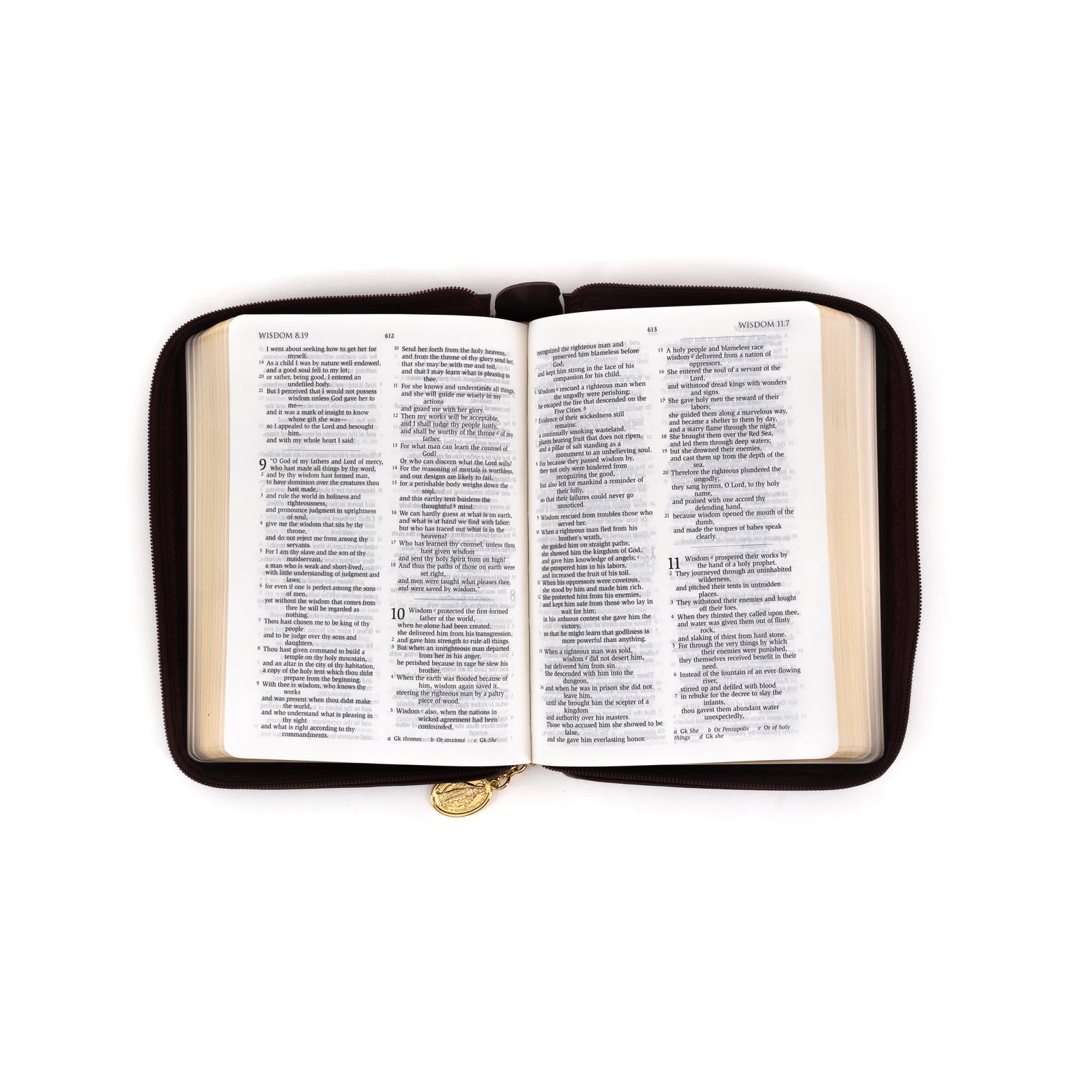Compact Ignatius Catholic Bible (RSV)