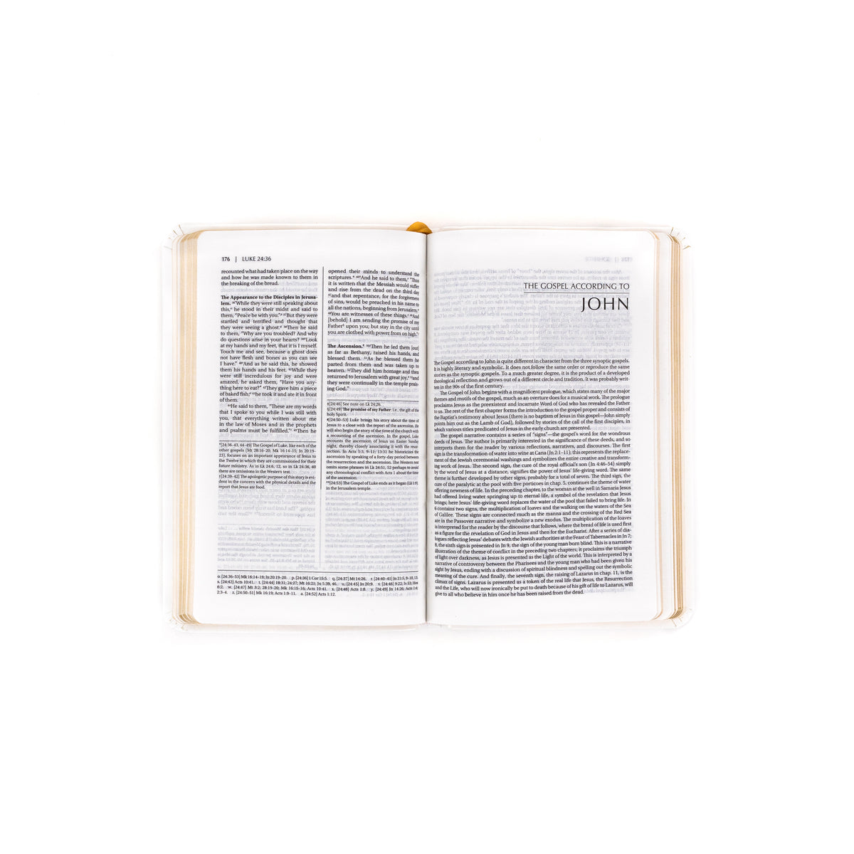 First Communion Bible: New Testament