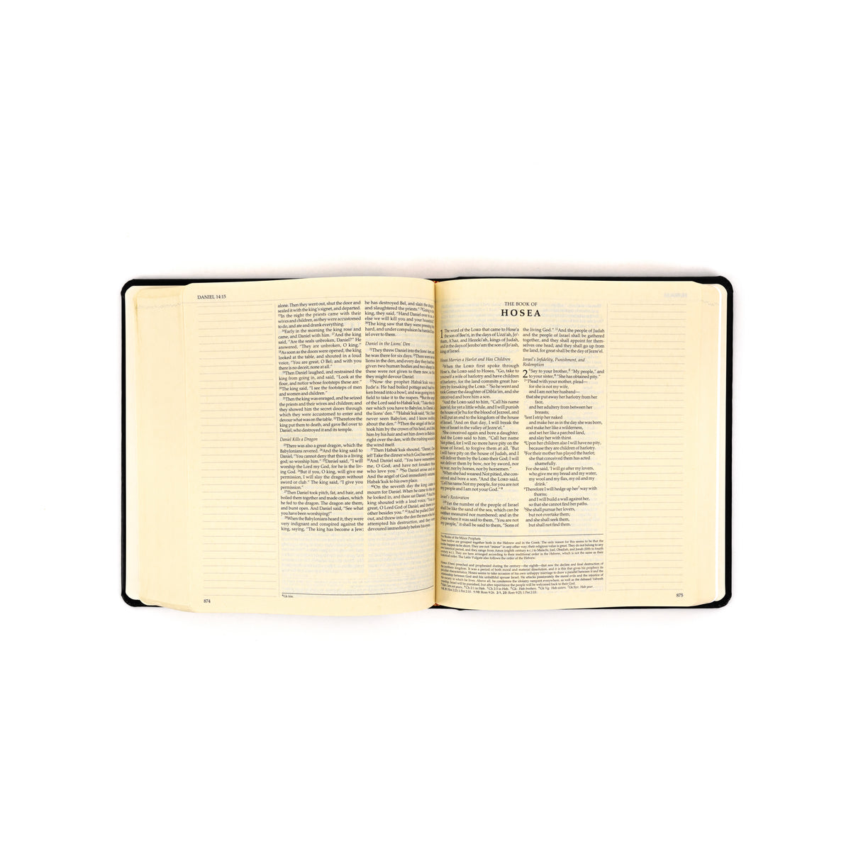 Ignatius Journaling Bible (RSV, 2CE)