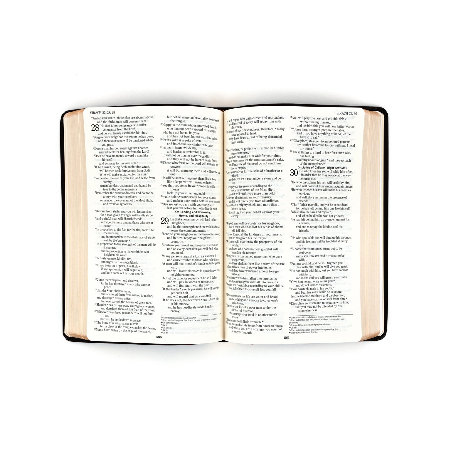 Catholic Bible - RSV
