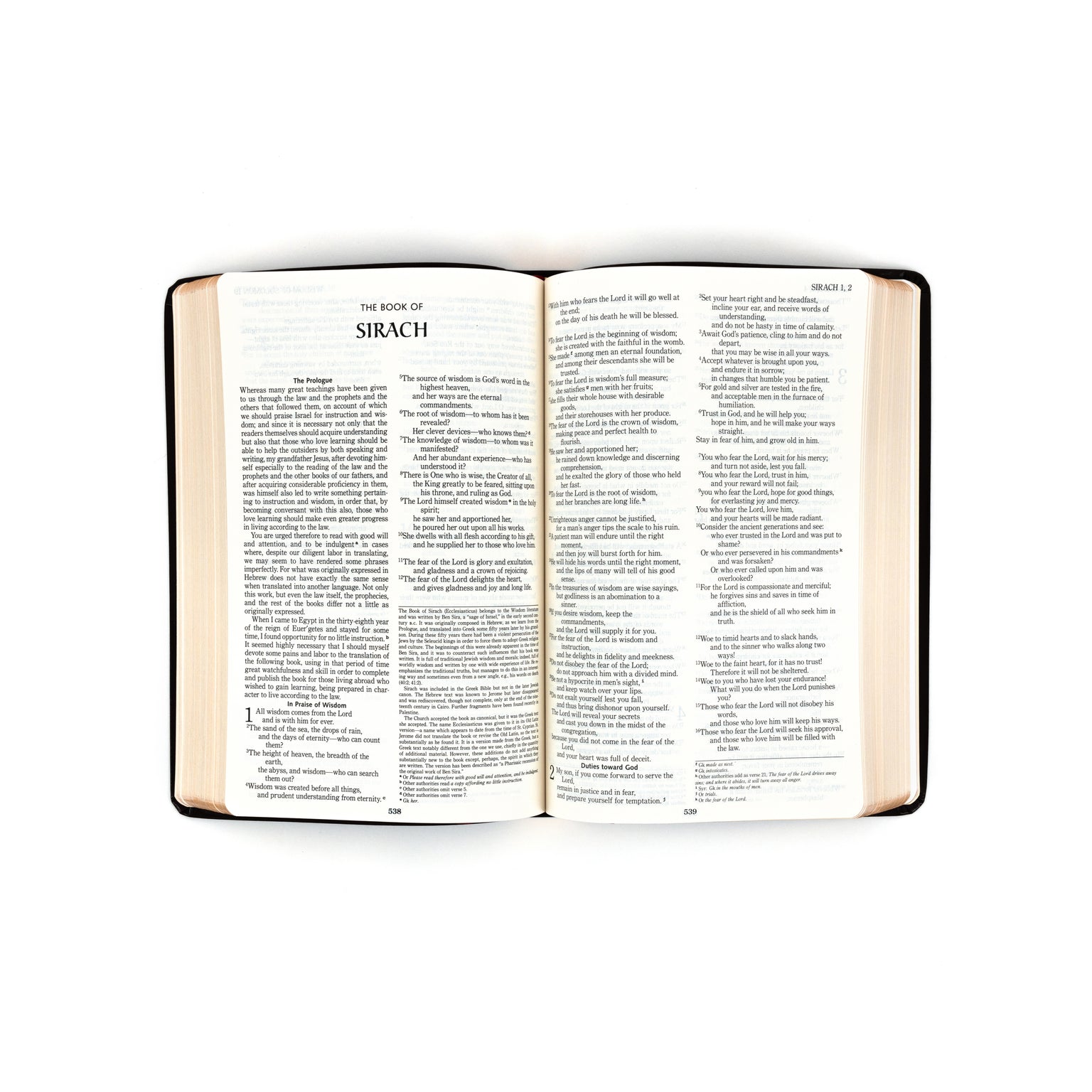 Catholic Bible - RSV