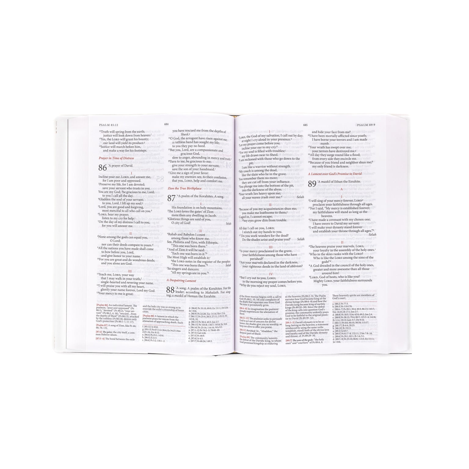 New American Bible-NABRE (New American Bible Revised)