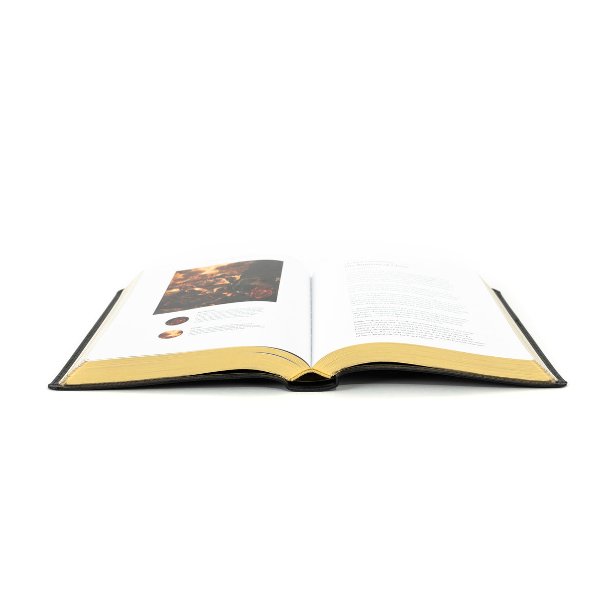 The Word on Fire Bible (Volume I): The Gospels - Leather