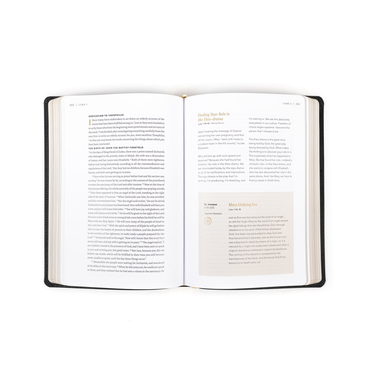 The Word on Fire Bible (Volume I): The Gospels - Leather