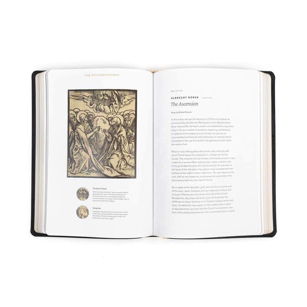 The Word on Fire Bible (Volume I): The Gospels - Leather