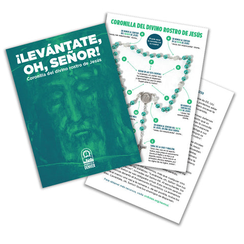 SPANISH VERSION: Arise O Lord! Discover the Holy Face Chaplet Holy Card, NEW