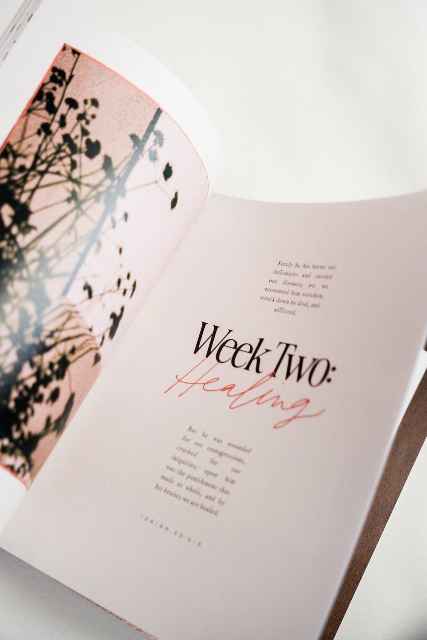 Lent Devotional For Women