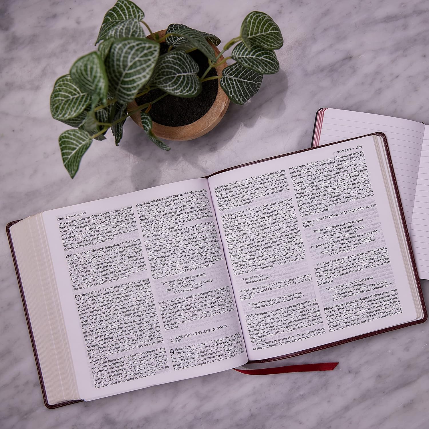 Nabre XL, Catholic Edition, Leathersoft, Burgundy, Comfort Print: Holy Bible