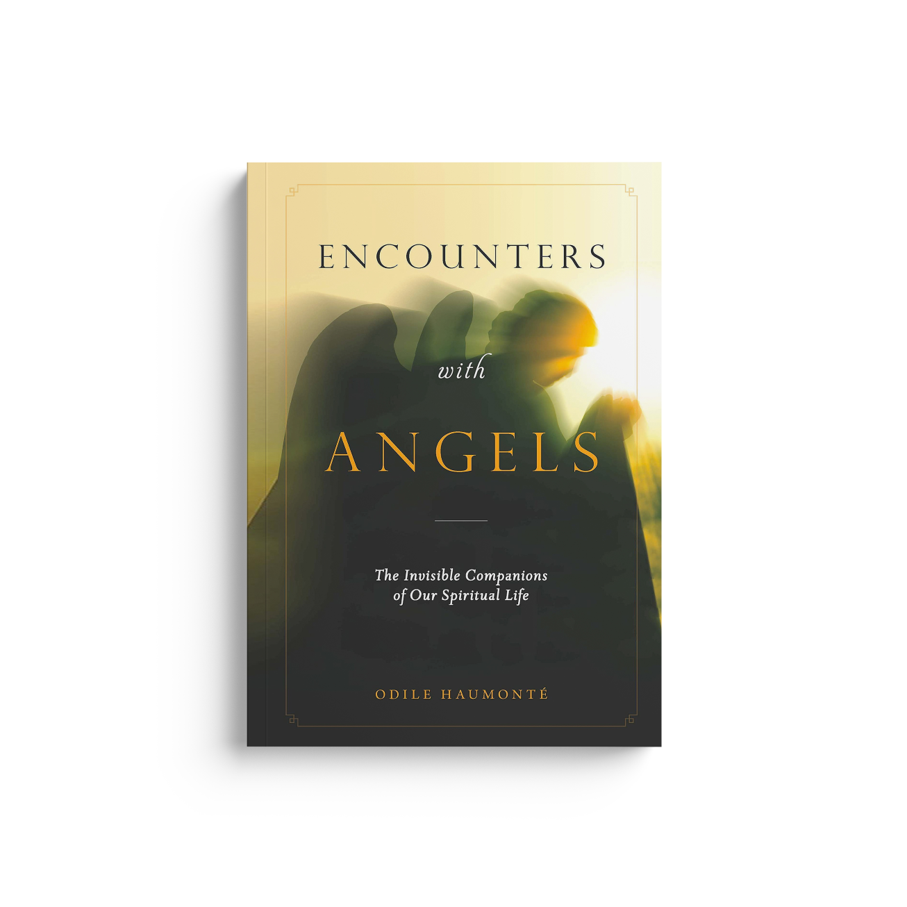 Encounters with Angels