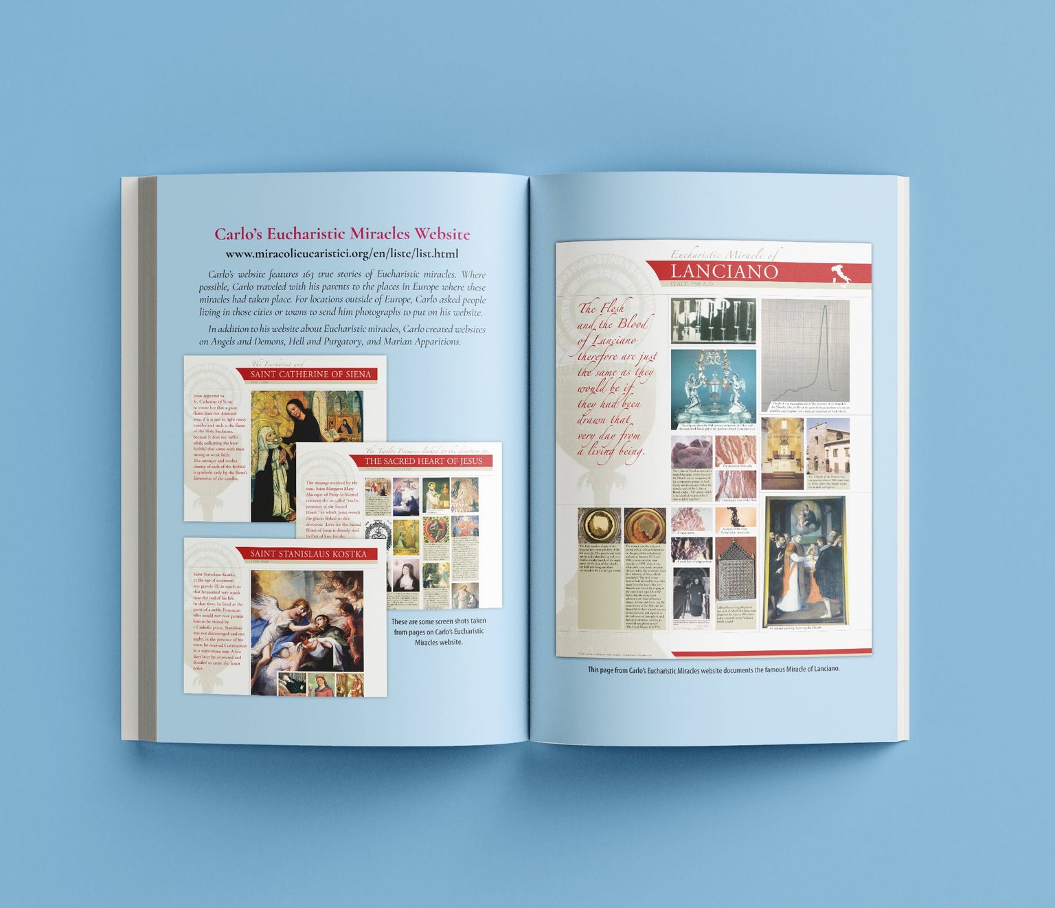 Saint Carlo Acutis: The Amazing Discovery of a Teenager in Heaven second edition