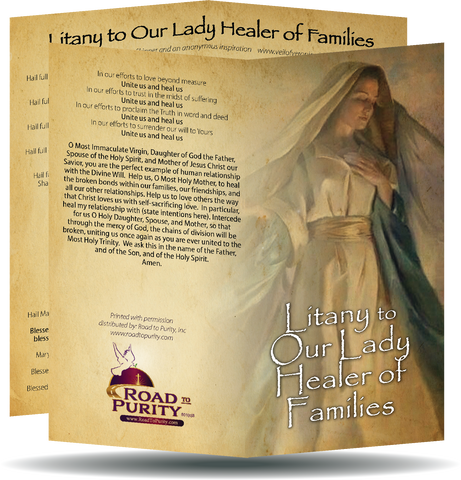 Litany to Our Lady Healer of Families - Prayer Card / 3" x 6" folded (c)