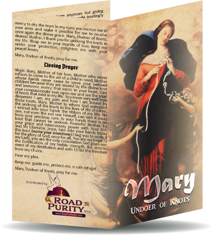 Mary Undoer of Knots novena - Prayer Card / 3" x 6" folded (c)