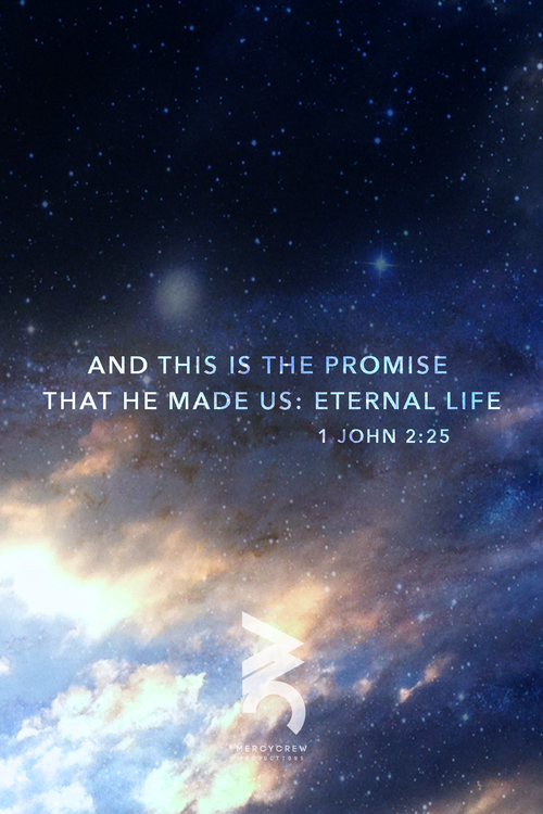 The Promise: The Reflections of Redemption