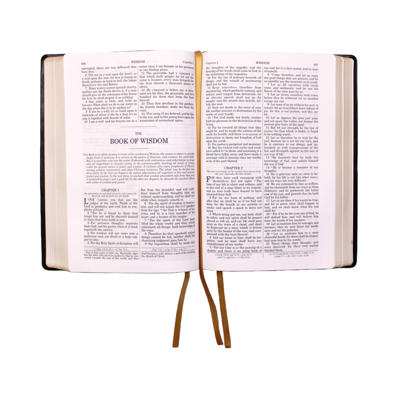 Douay-Rheims Bible Large Print Edition