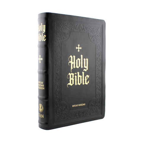 Douay-Rheims Bible Large Print Edition