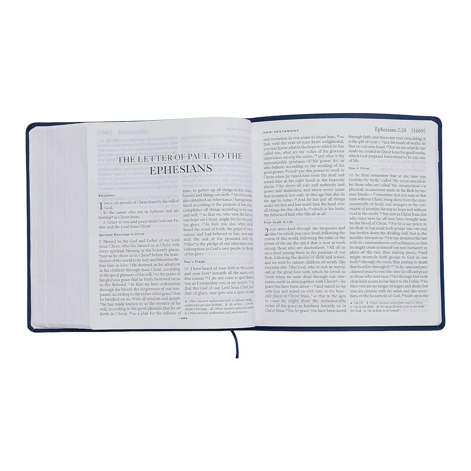 XL Catholic Bible-NRSV