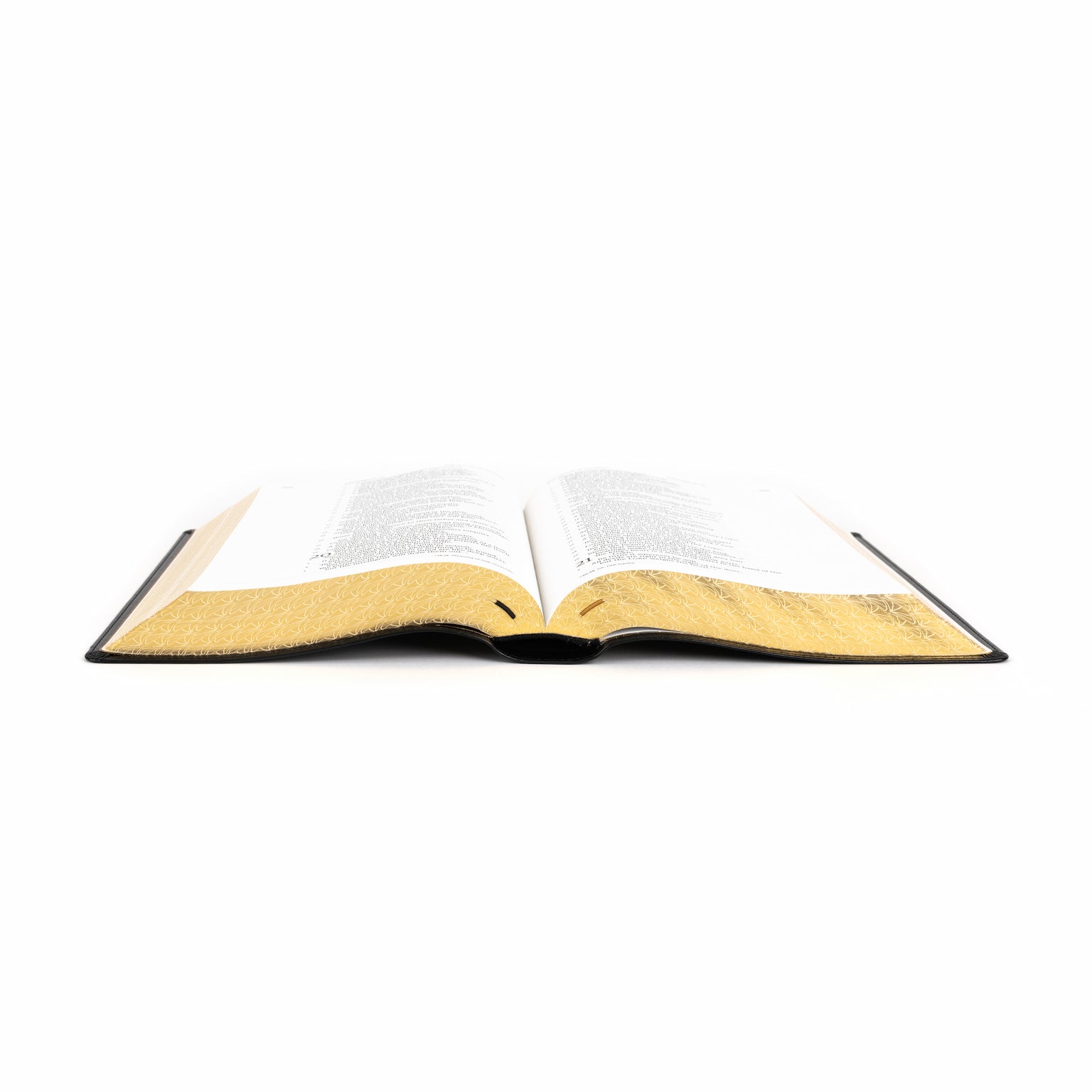 Illustrated Holy Bible