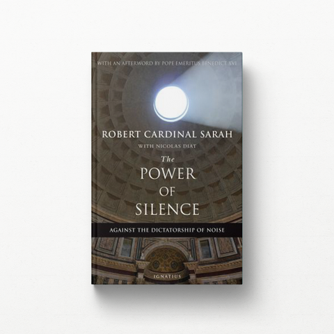 The Power of Silence: Against the Dictatorship of Noise