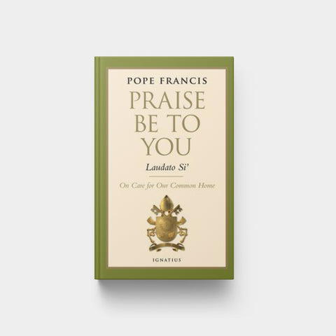 Image for Praise Be to You Laudato Si