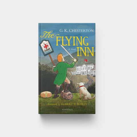 Image for Flying Inn