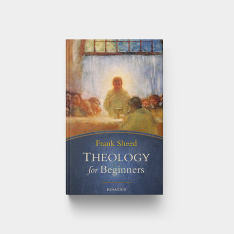 Image for Theology for Beginners