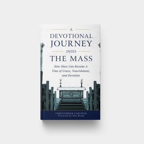 Image for Devo Journey Into the Mass