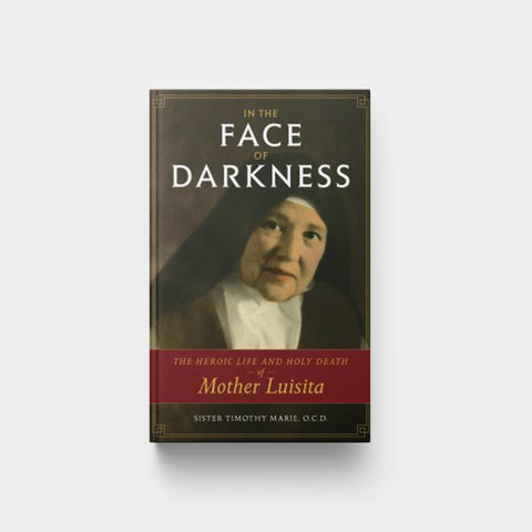Image for In the Face of Darkness