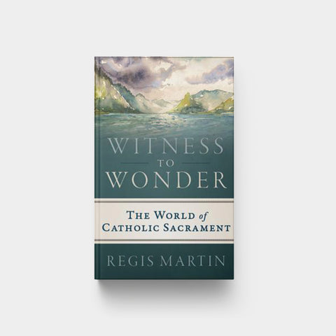 Image for Witness to Wonder