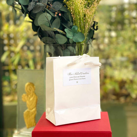 Gift Bag for Jewels