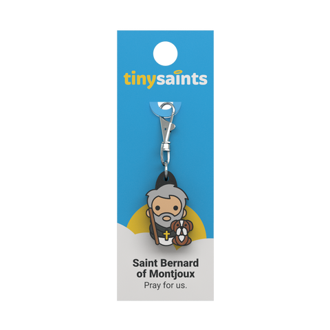 Saint Bernard of Montjoux