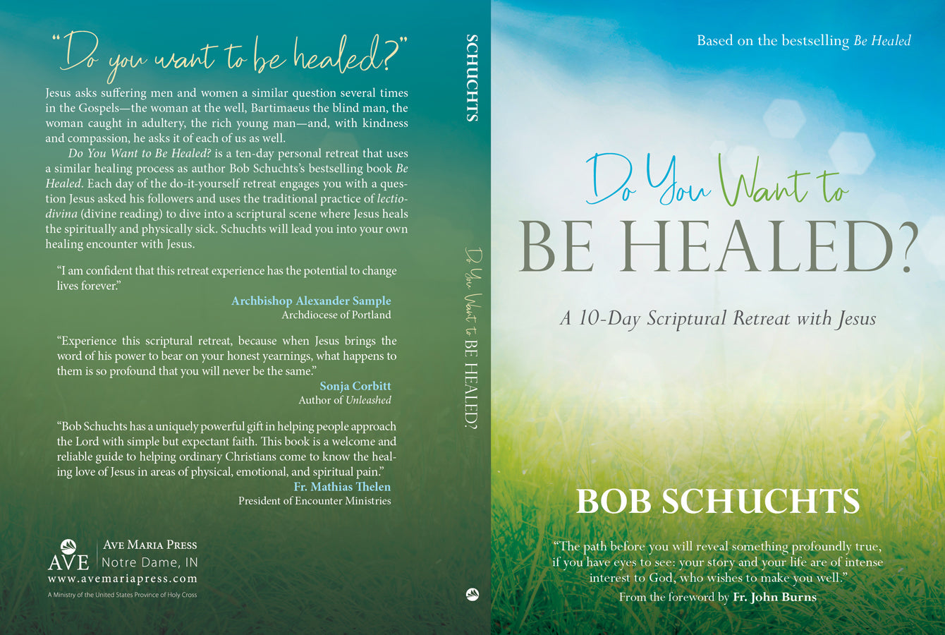 Do You Want to Be Healed?