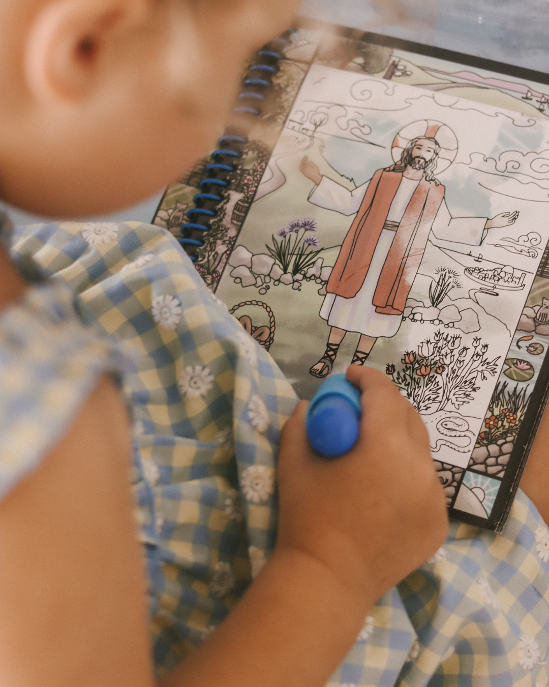 Complete Water Reveal Bundle (All 4 Books)