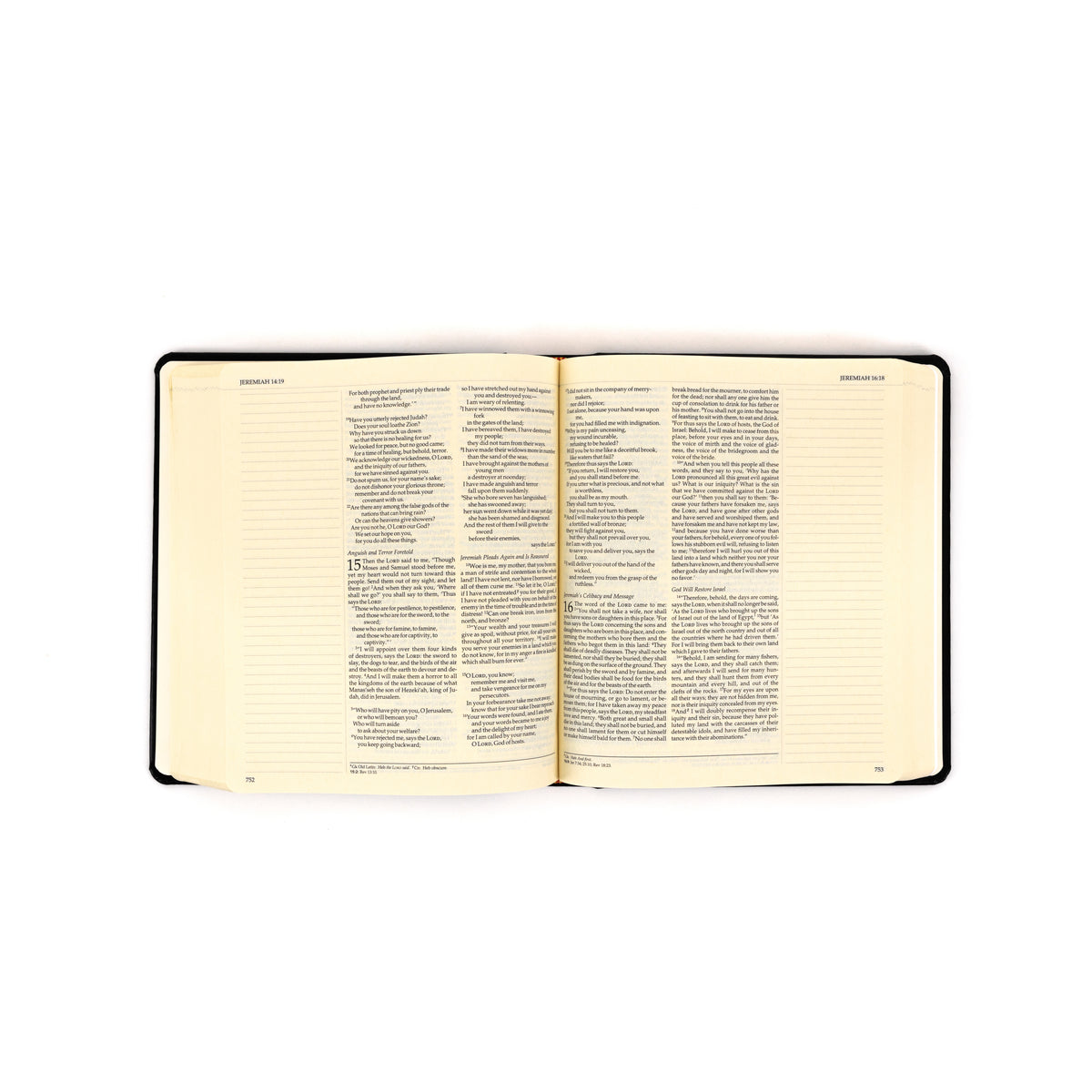 Ignatius Journaling Bible (RSV, 2CE)