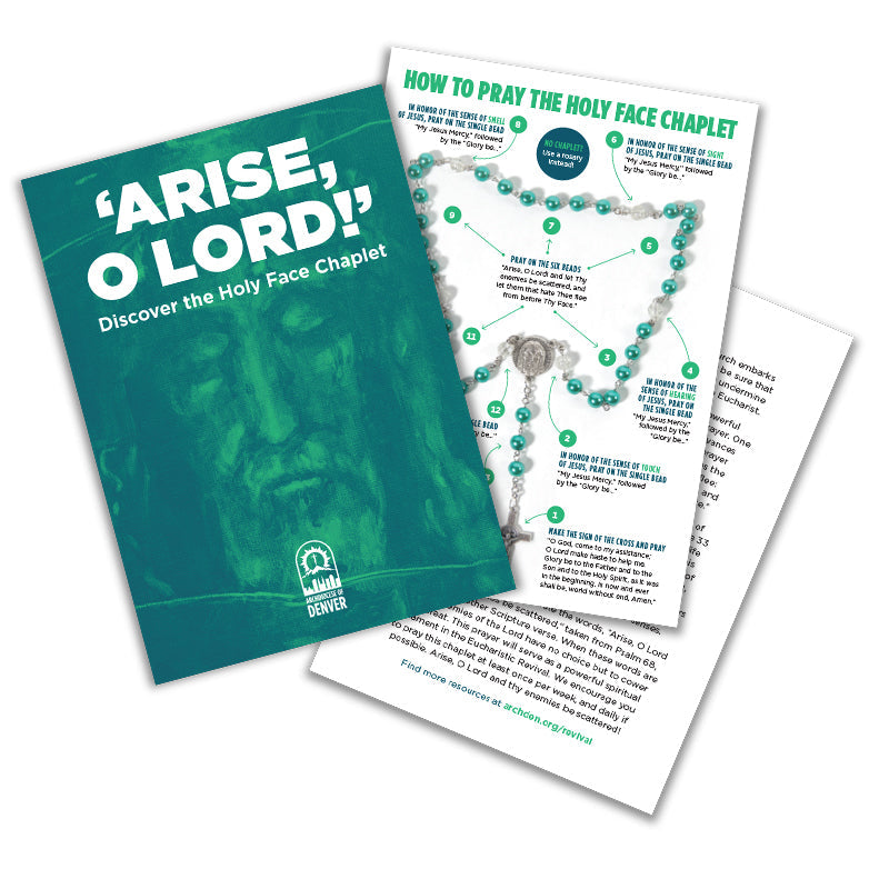 Arise O Lord! Discover the Holy Face Chaplet Holy Card