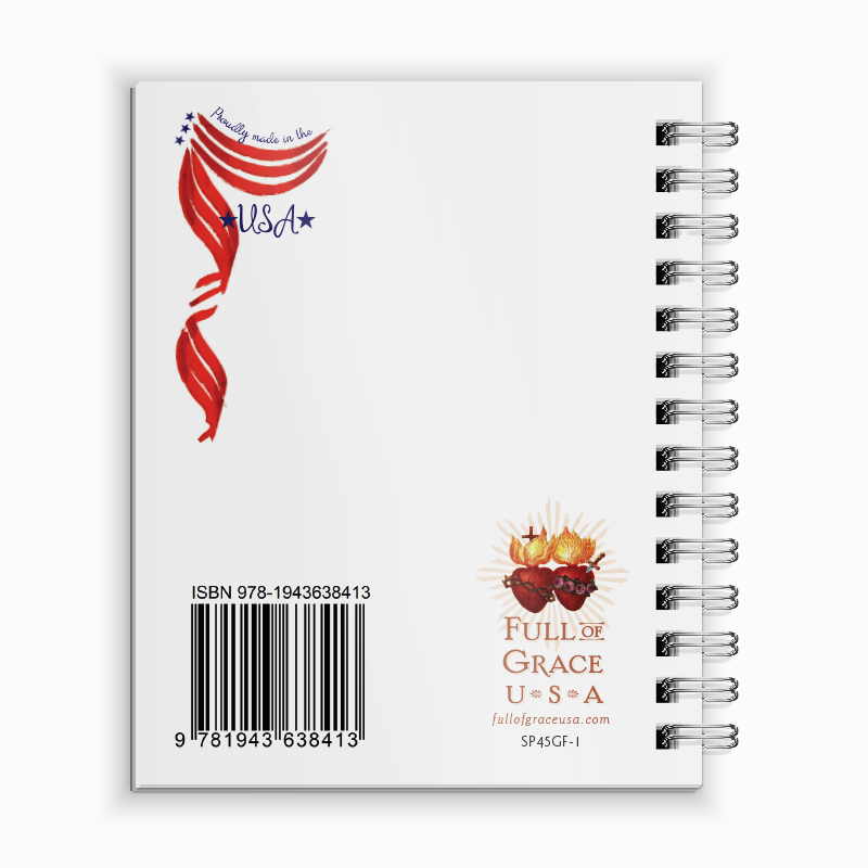 Virgin of Guadalupe/Face Mini Notebook