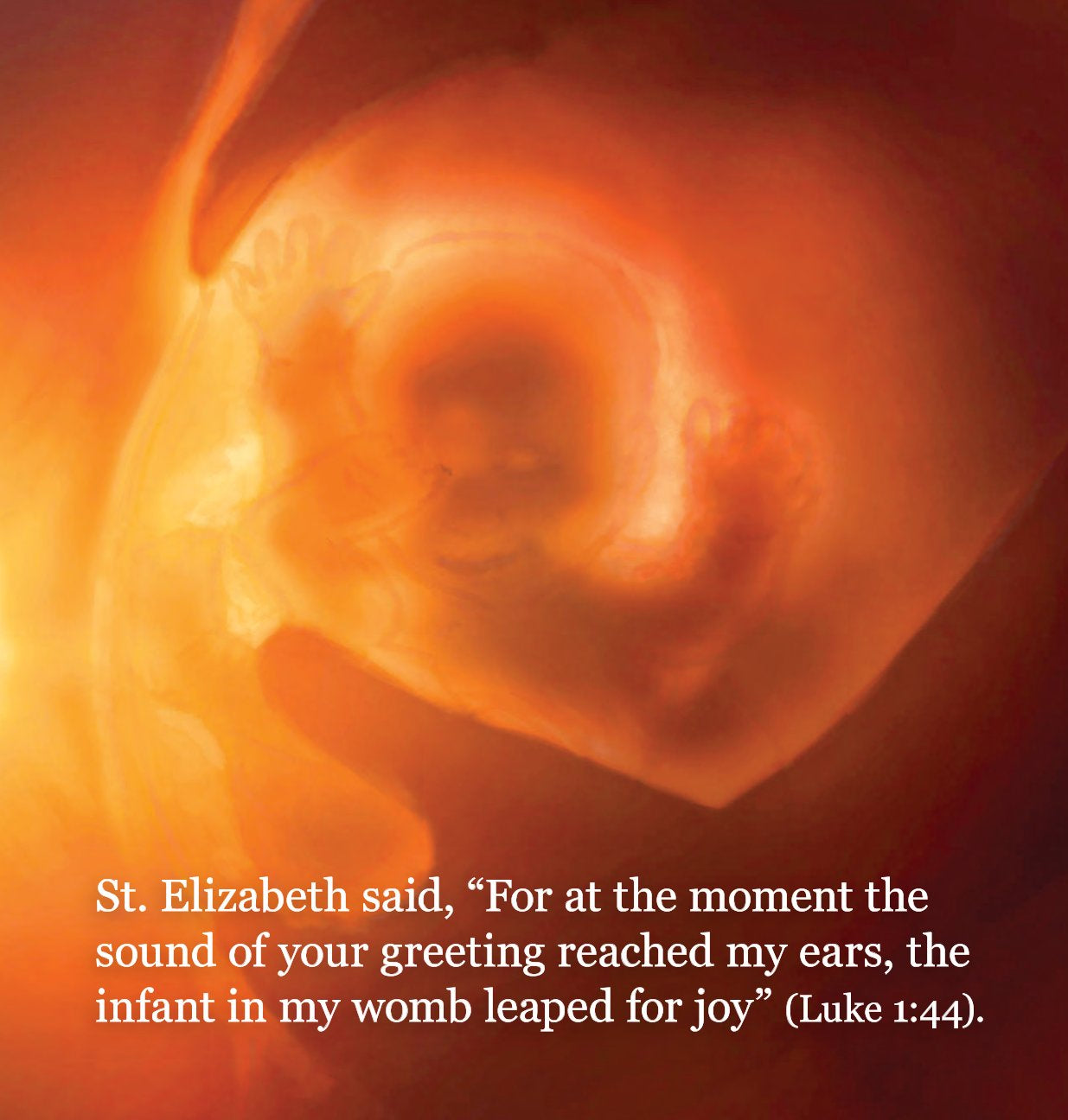 This Little Light of Thine