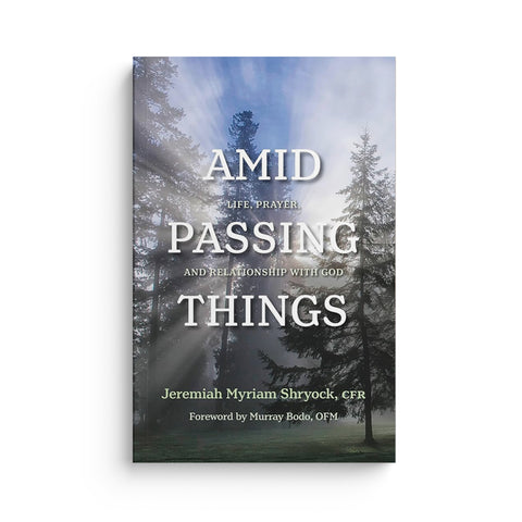 Amid Passing Things