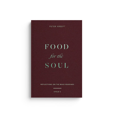 Food for the Soul: Reflections on the Mass Readings (Cycle C) Volume 3