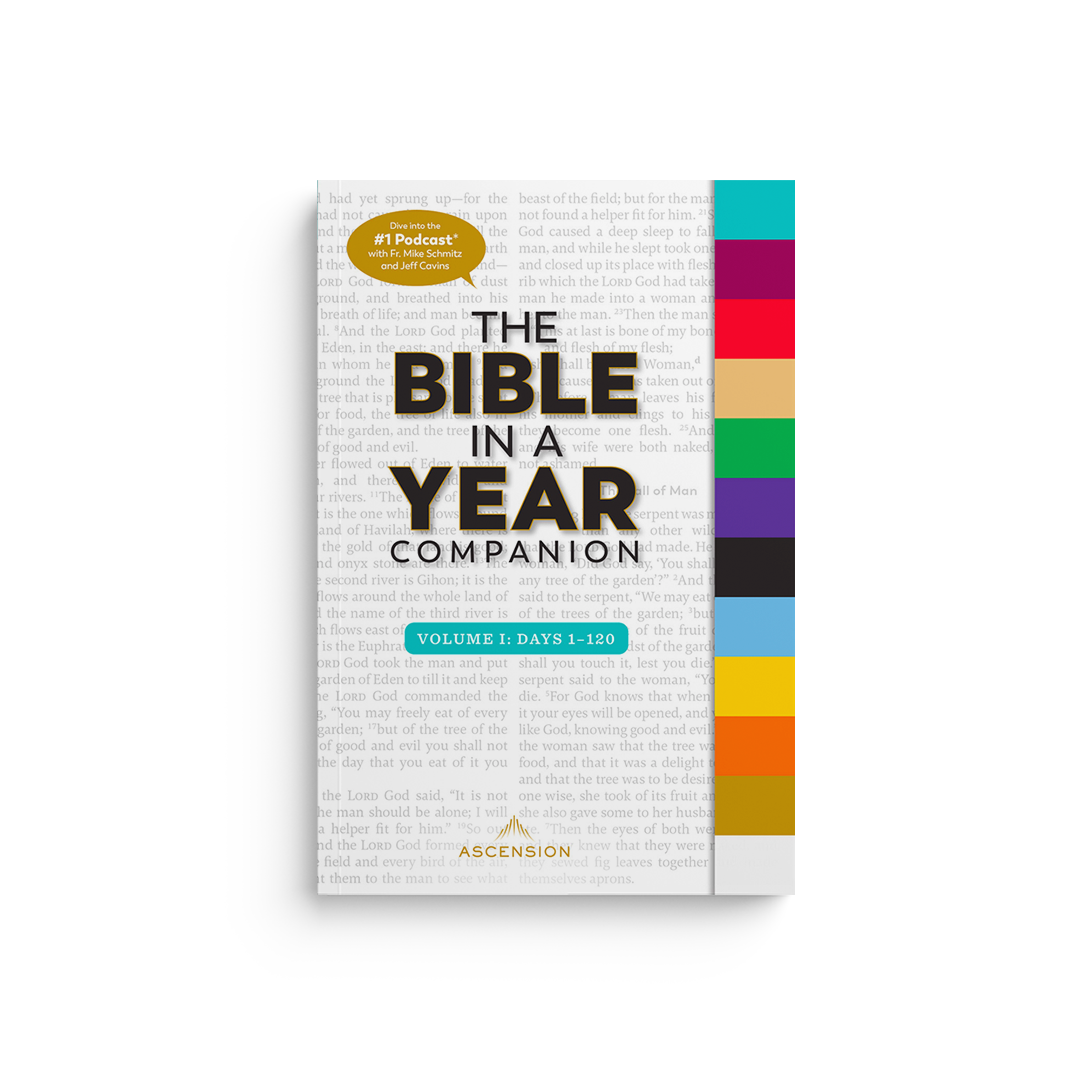 Bible in a Year Companion, Vol 1: Days 1-120
