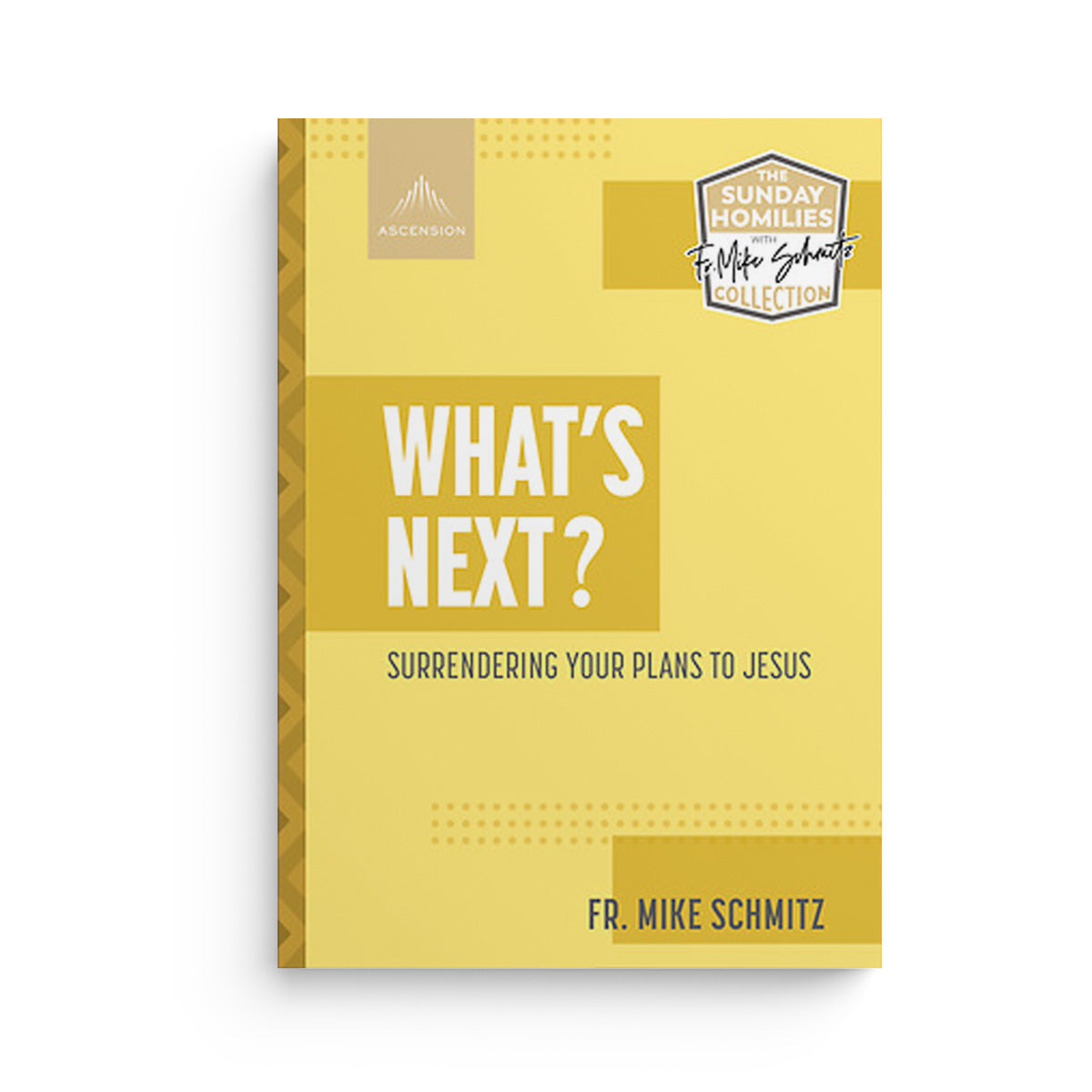 What's Next?: Surrendering Your Plans to Jesus