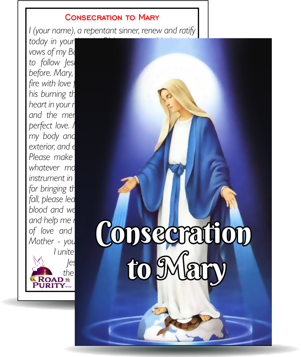 Consecration to Mary- Holy Card / 2 1/4"x 3 1/2" (b) (C)