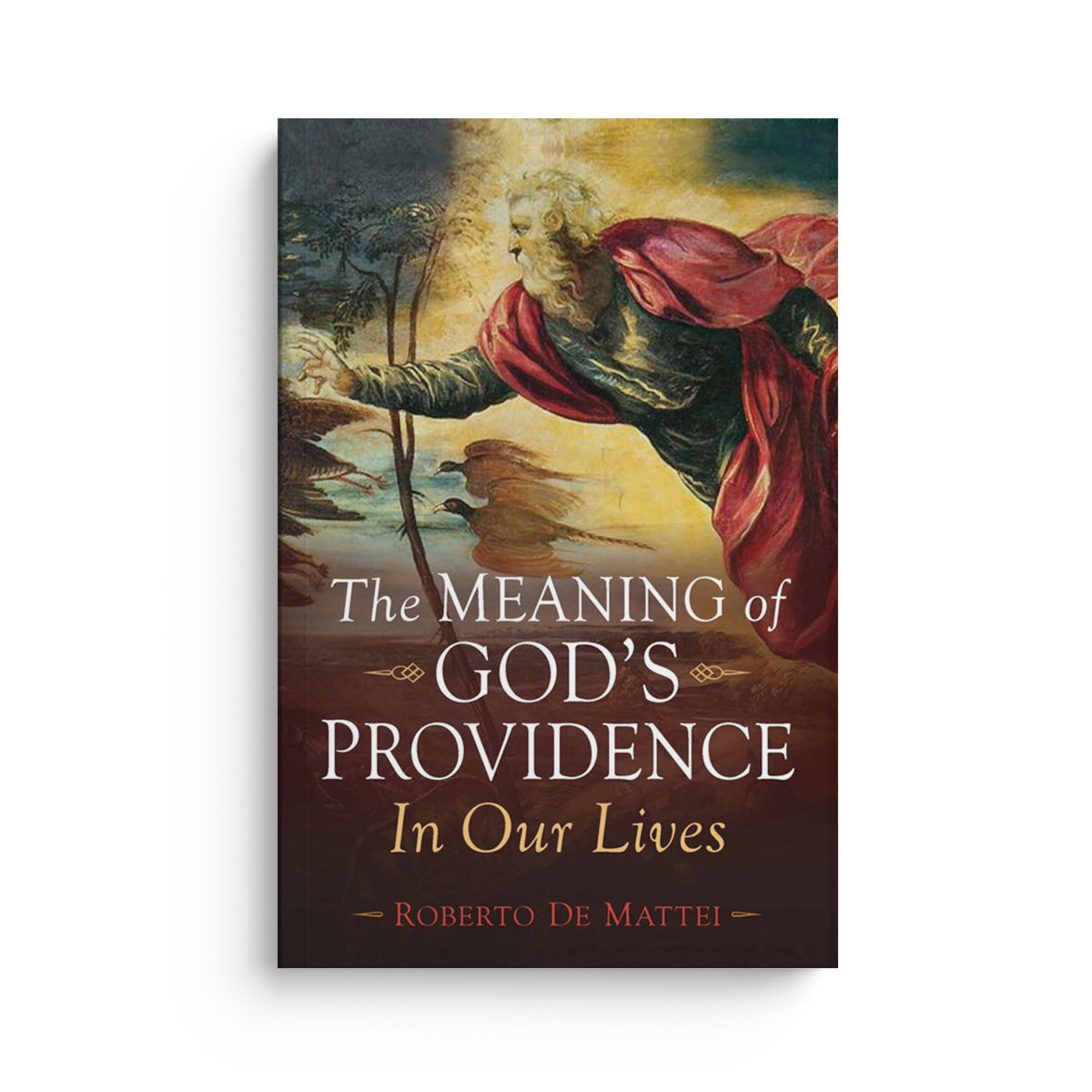 The Meaning of God's Providence