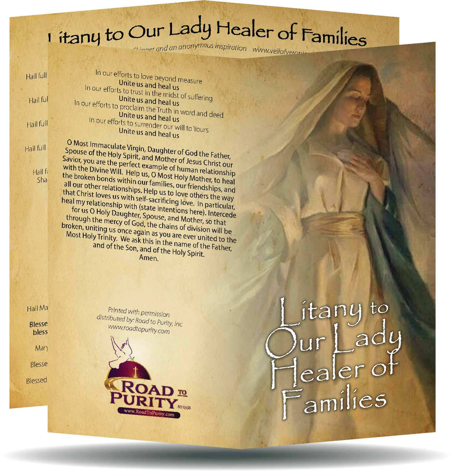 Litany to Our Lady Healer of Families  - Prayer Card / 3" x 6" folded (c)