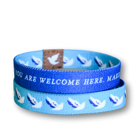 Holy Spirit TruthBands for the Family