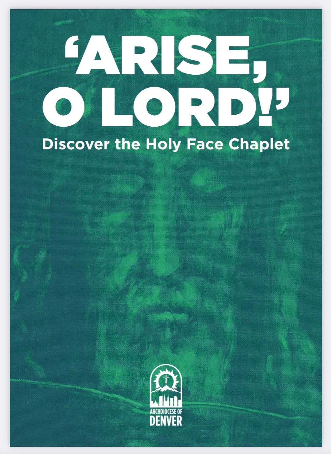 Arise O Lord! Discover the Holy Face Chaplet Holy Card