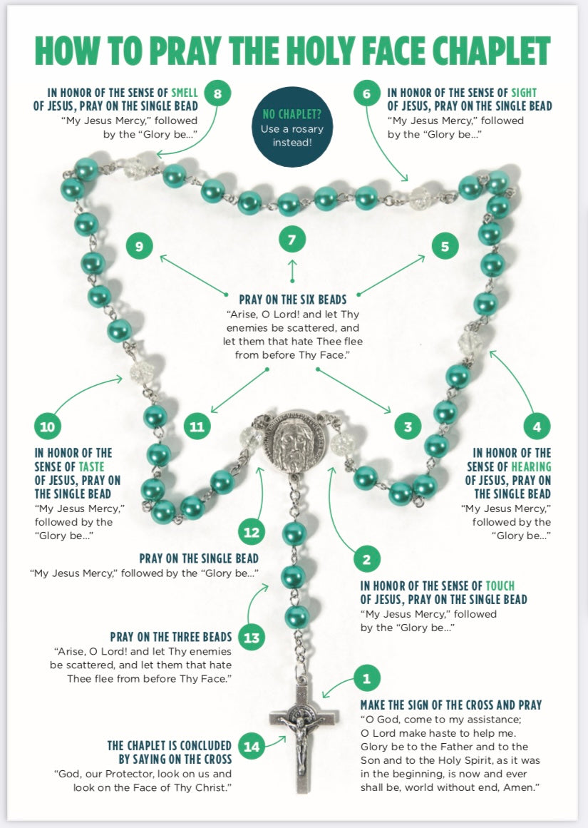 Arise O Lord! Discover the Holy Face Chaplet Holy Card
