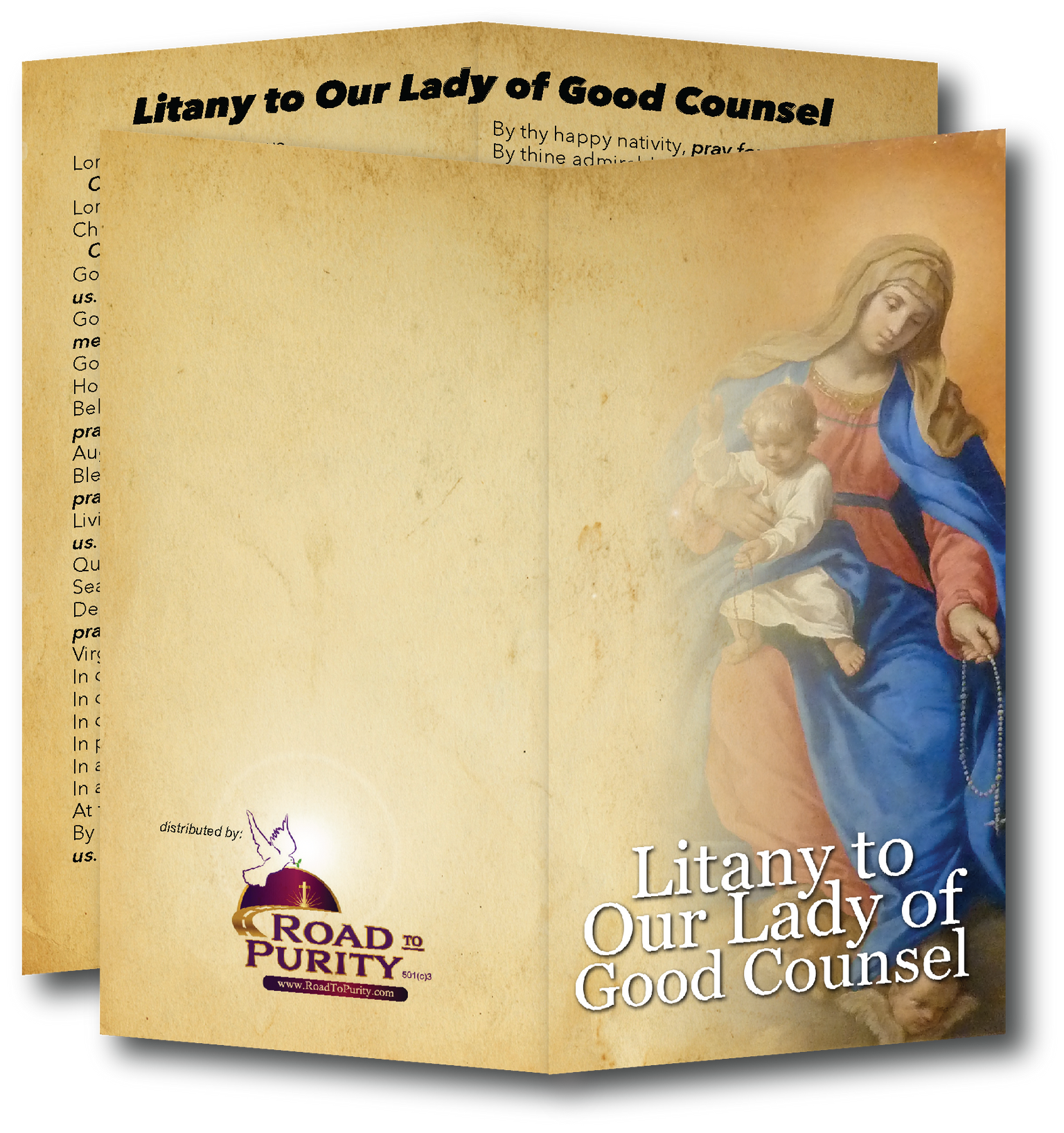 Litany to Our Lady of Good Counsel  - Prayer Card / 3" x 6" folded (c)