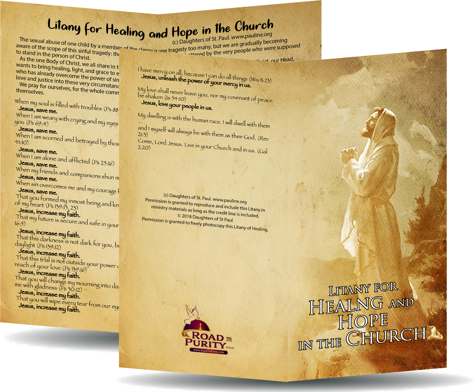 Litany for Healing and Hope in the Church - Prayer Card / 3" x 6" folded (c)